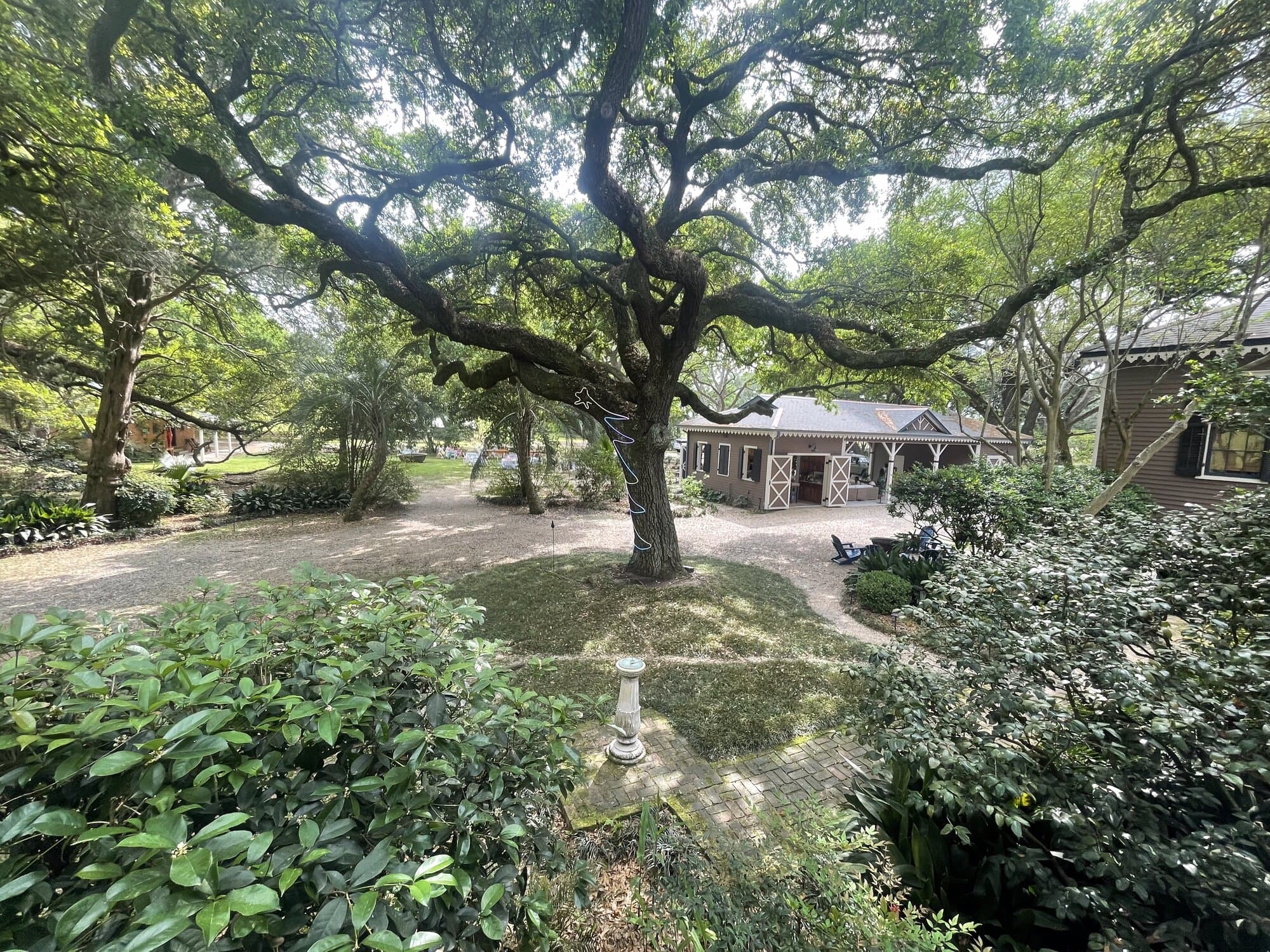 A sprawling moss-draped live oak shading a building on the Poplar Grove grounds.
