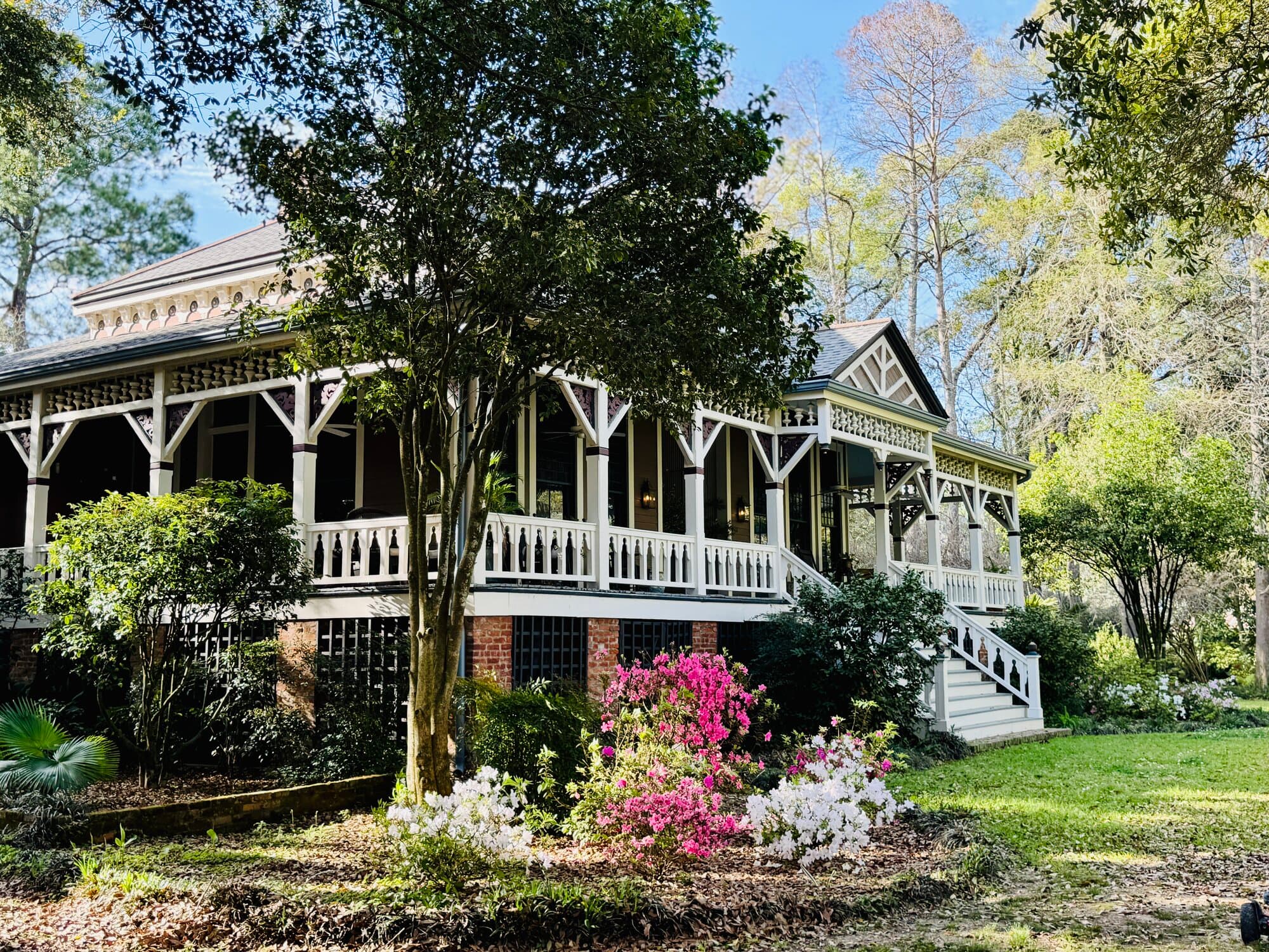 The front of Poplar Grove in spring — Perla's family home — with pink azaleas in bloom along the porch.